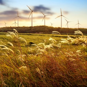 Wind farm